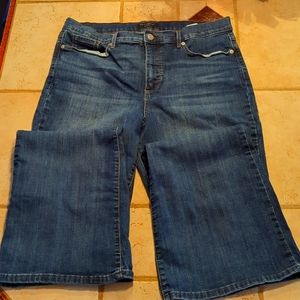 Banana Republic Slim Flare high rise Jeans 32/14